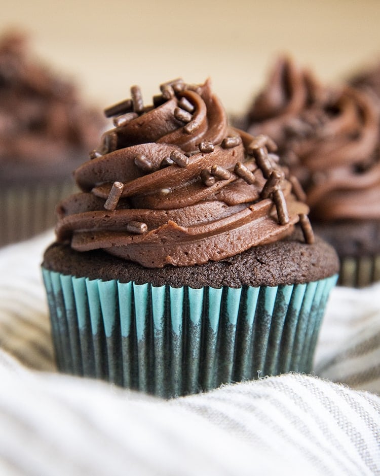 A chocolate cupcake with chocolate frosting, and chocolate jimmies on top.