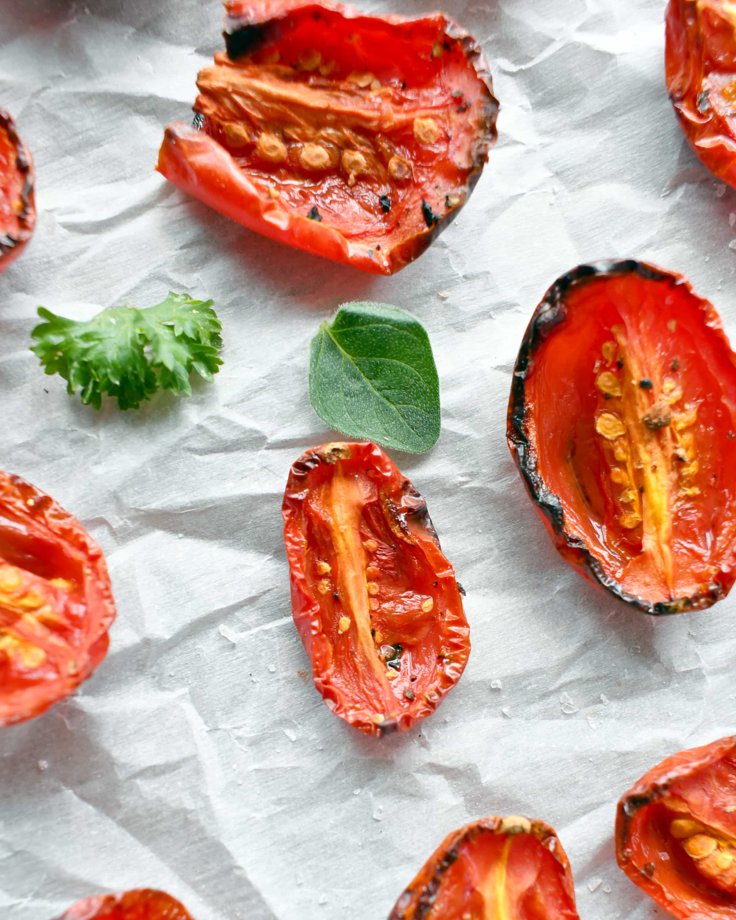 Close up view of roasted tomatoes on parchment paper.