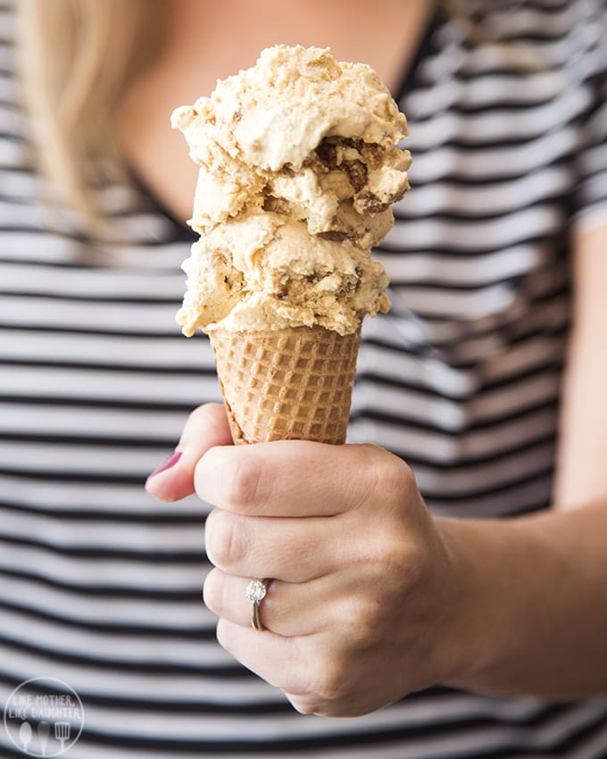 Pumpkin pie lovers will love this ice cream that tastes just like a slice of pumpkin pie! 