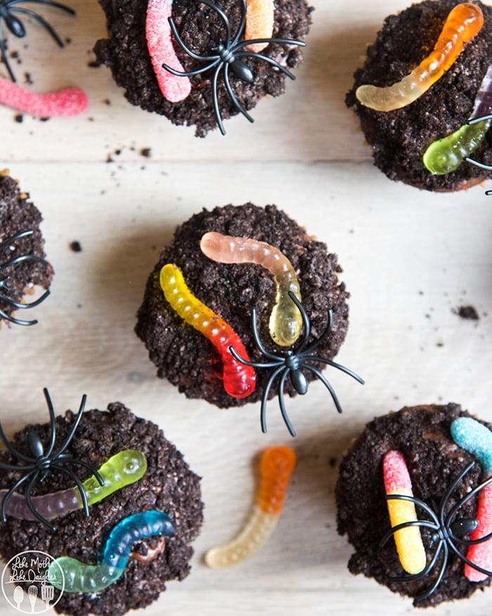 An overhead photo of dirt cupcakes with gummy worms on top. 