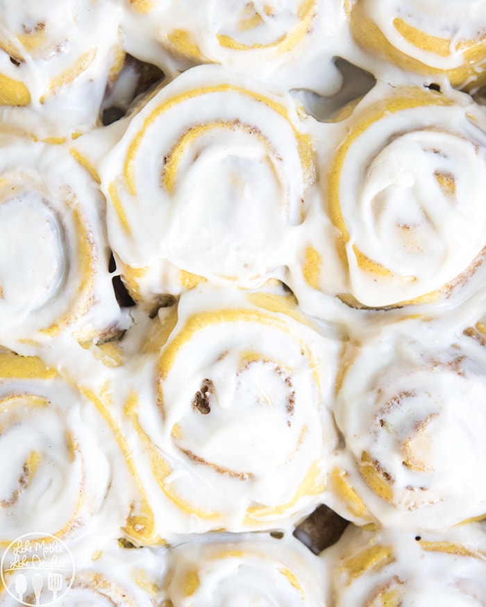Pumpkin Sweet Rolls with Cream Cheese Frosting