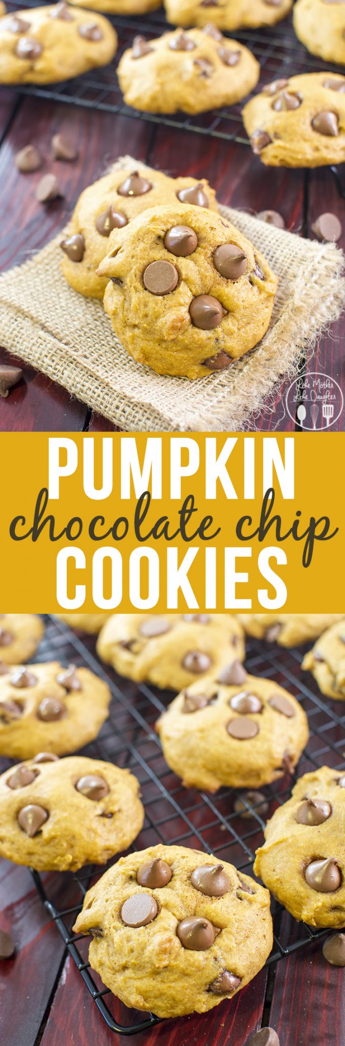 Pumpkin Chocolate Chip Cookies - These are the perfect soft baked fall cookies full of pumpkiny goodness and stuffed full of chocolate chips.