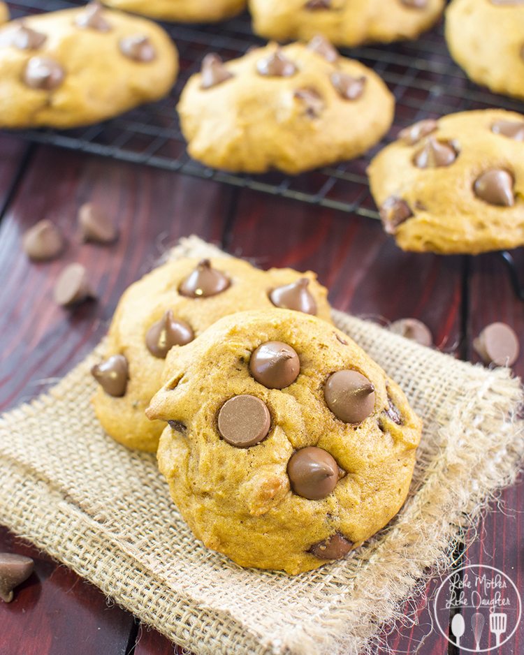 pumpkin chocolate chip cookies2