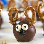 An oreo ball decorated to look like a reindeer with pretzel antlers.