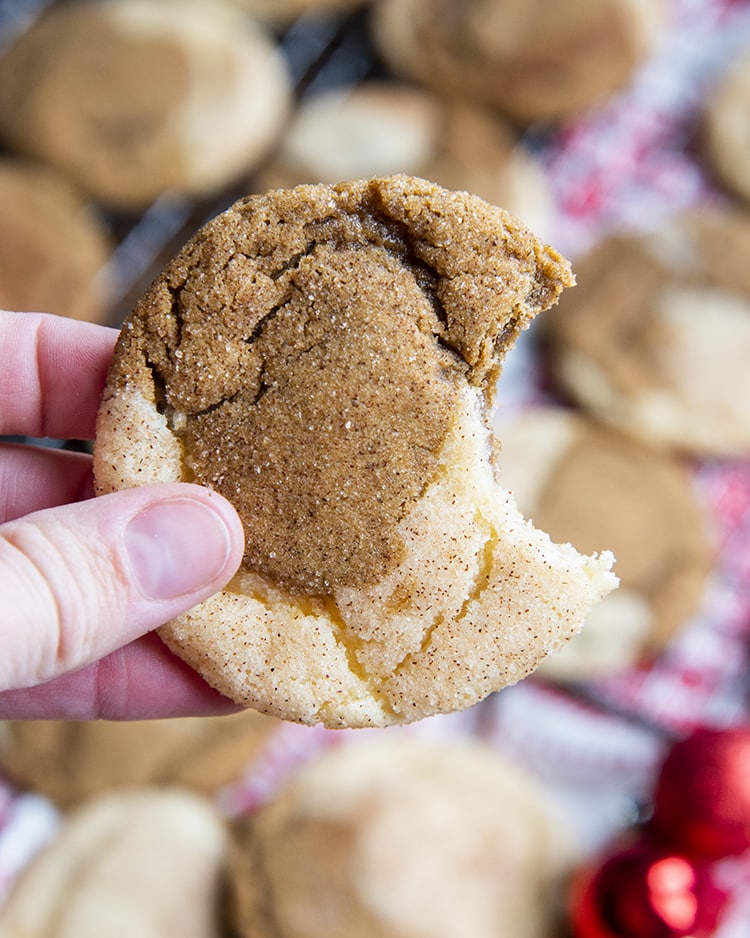 A gingerdoodle cookie being held in a hand, with a bite taken out of it.