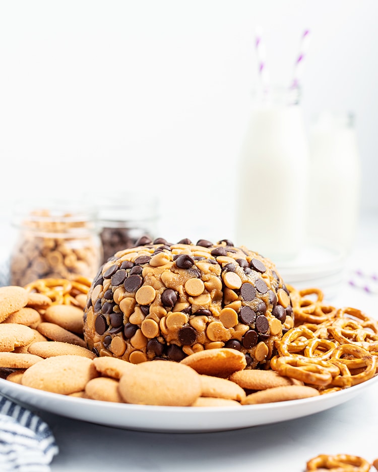 A peanut butter cheese ball wrapped in chocolate chips and peanut butter chips on a plate with pretzels and cookies with milk in the background.