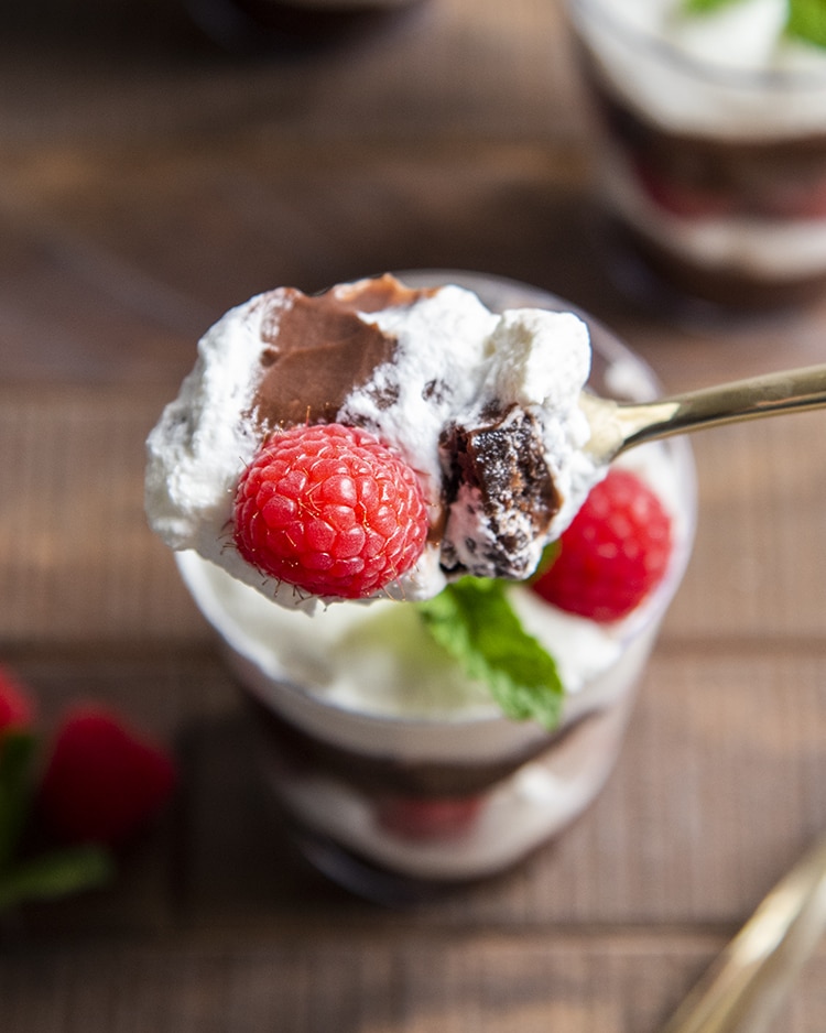 A small cup with a spoon being held above the cup, the spoon has chocolate pudding, whipped cream, a small brownie piece, and a raspberry.