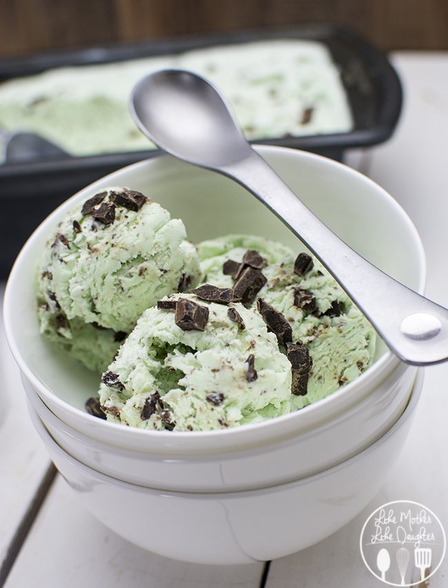 no-churn-mint-chocolate-chip-ice-cream-2.jpg