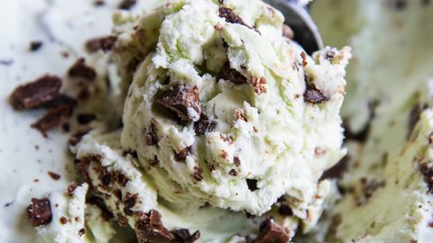 Mint Chocolate Chip Ice Cream – Modern Honey