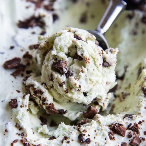 Mint Chocolate Chip Ice Cream – Modern Honey