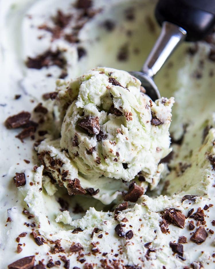 A scoop of mint chocolate chip ice cream in the ice cream container