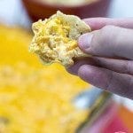 Close up of a chip with buffalo chicken dip on it.