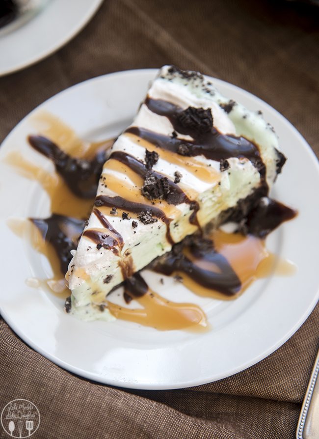 A slice of mint chocolate chip ice cream pie on a plate.