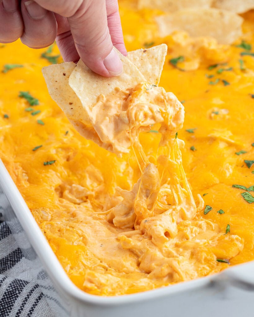 A hand holding a tortilla chip topped with shredded chicken dip.