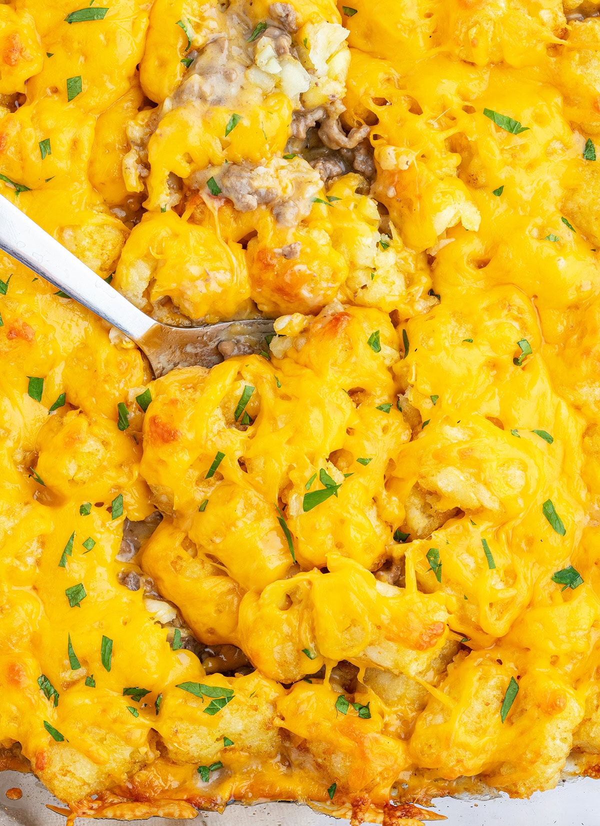 A baking pan of tater tot casserole topped with melted cheese and fresh parsley, with a scoop of the casserole in a spoon.