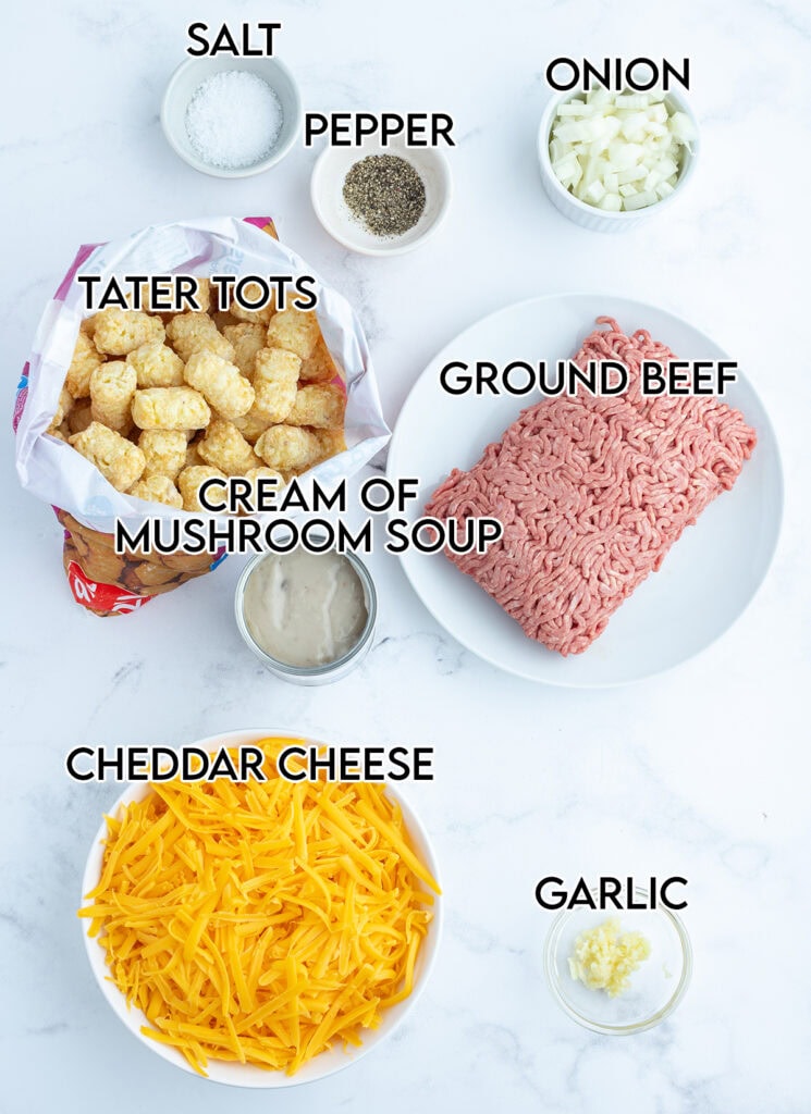 An above view of the ingredients needed to make cheeseburger tater tot casserole.