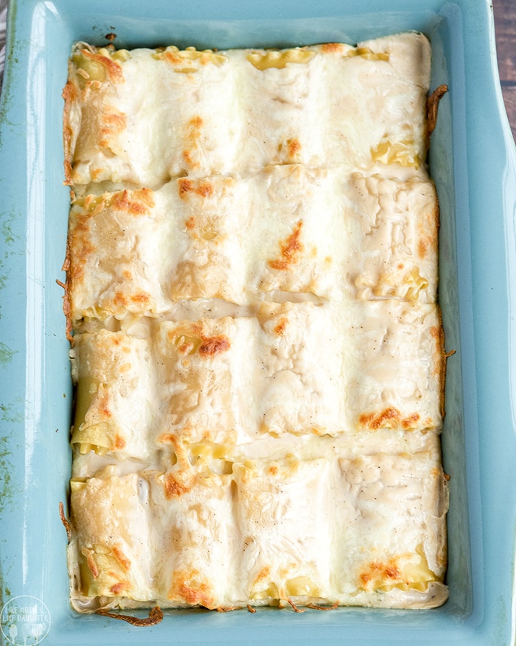 A pan of chicken alfredo roll ups