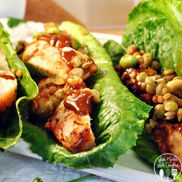 Close up view of grilled chicken lettuce wraps on a white plate.