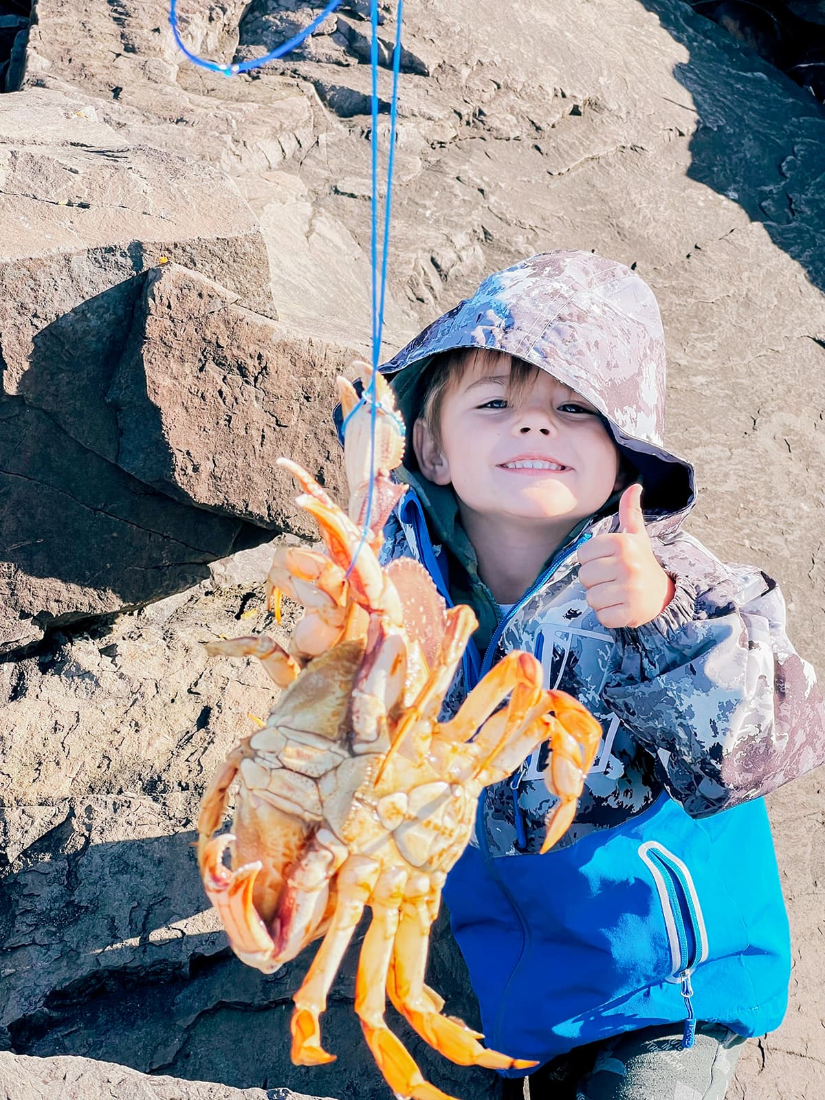 A crab hanging in front of a boy on rocks. 