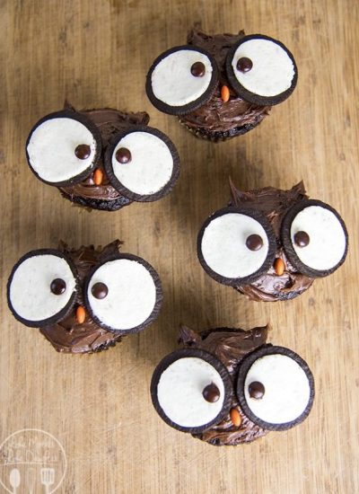cropped-owl-cupcakes-4.jpg