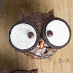 Above view of an owl cupcake with oreo and candy eyes on a wood board.