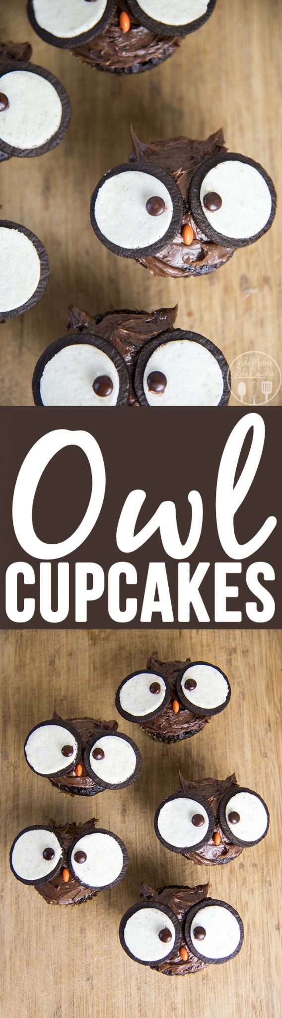 Owl cupcakes are adorable cupcakes topped with chocolate frosting, oreo cookies and m&ms that are perfectly fun and delicious to eat!