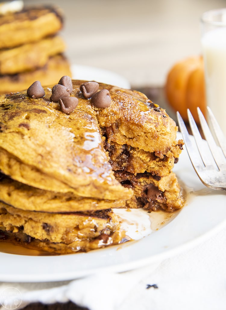 A plate of pumpkin chocolate chip pancakes are perfect for breakfast or brunch