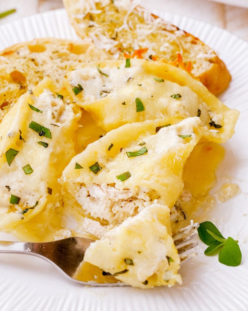 A plate of Chicken Alfredo Stuffed Shells with a fork cutting a bite off of one shell. 