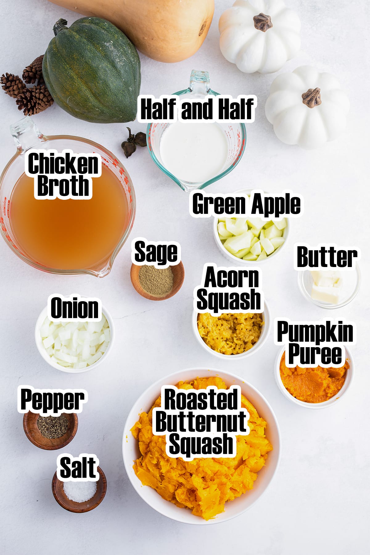 An overhead photo of the ingredients needed to make Autumn Squash Soup with labels on each of them.