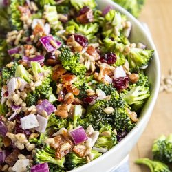 A close up of creamy broccoli salad with red onion, and bacon, in a white bowl.