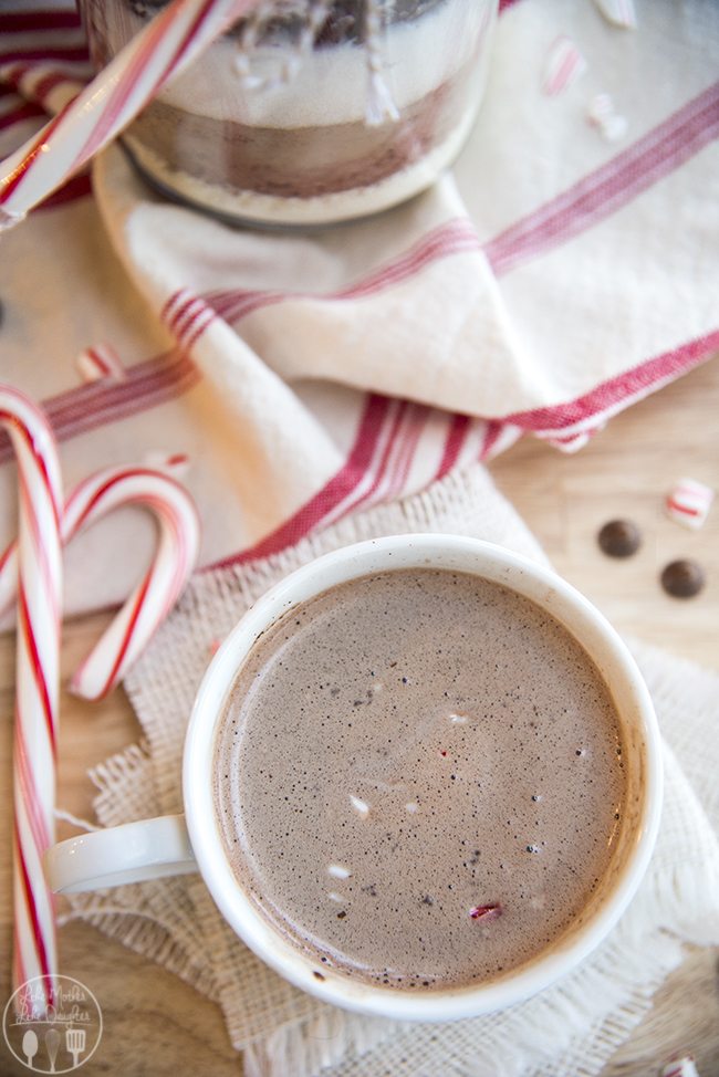 Hot Chocolate Mix Like Mother Like Daughter