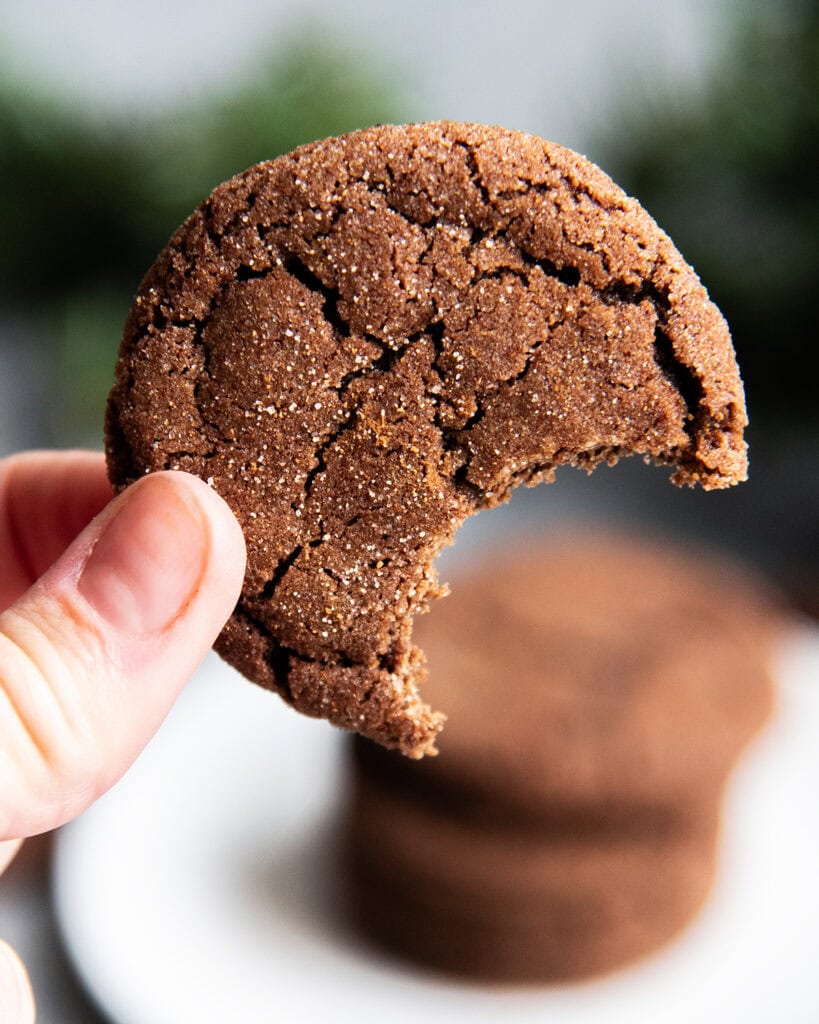 A hand holding a Mexican Chocolate Cookie with a bite out of it.