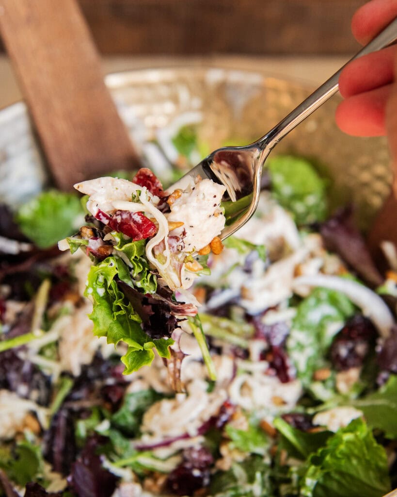 A forkful of turkey salad above a bowl of the soup. 
