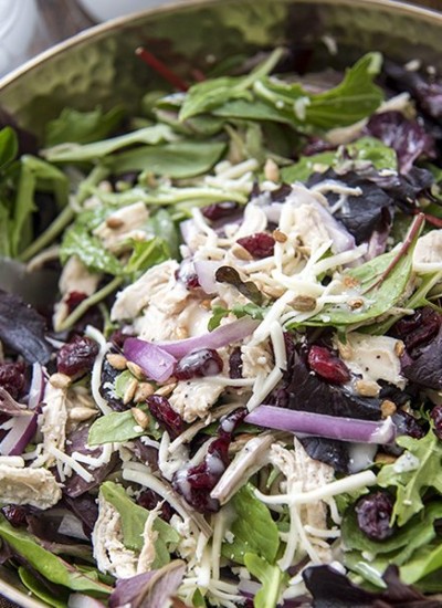 Angled image of chicken cranberry sunflower salad in a bowl.
