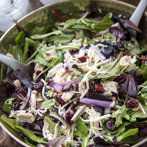 Angled image of chicken cranberry sunflower salad in a bowl.