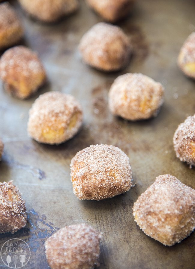 Cinnamon Sugar Soft Pretzel Bites - These cinnamon sugar sbites are perfect soft pretzels with a chewy pretzel crust coated in cinnamon sugar. Perfect served with a warm cream cheese dip!