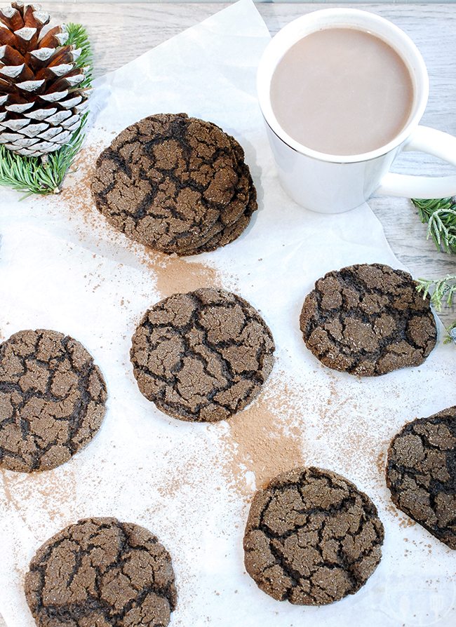 Above image of mexican hot chocolate cookies on a white backdrop.