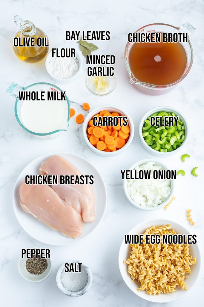 An overhead photo of the ingredients needed to make creamy chicken noodle soup.