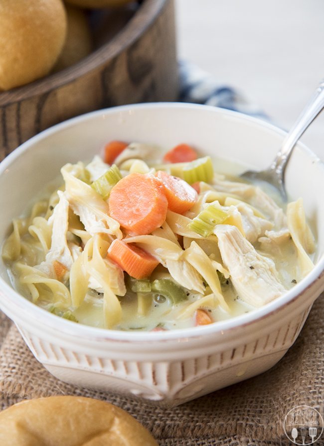 A bowl of creamy chicken noodle soup topped with carrots. 