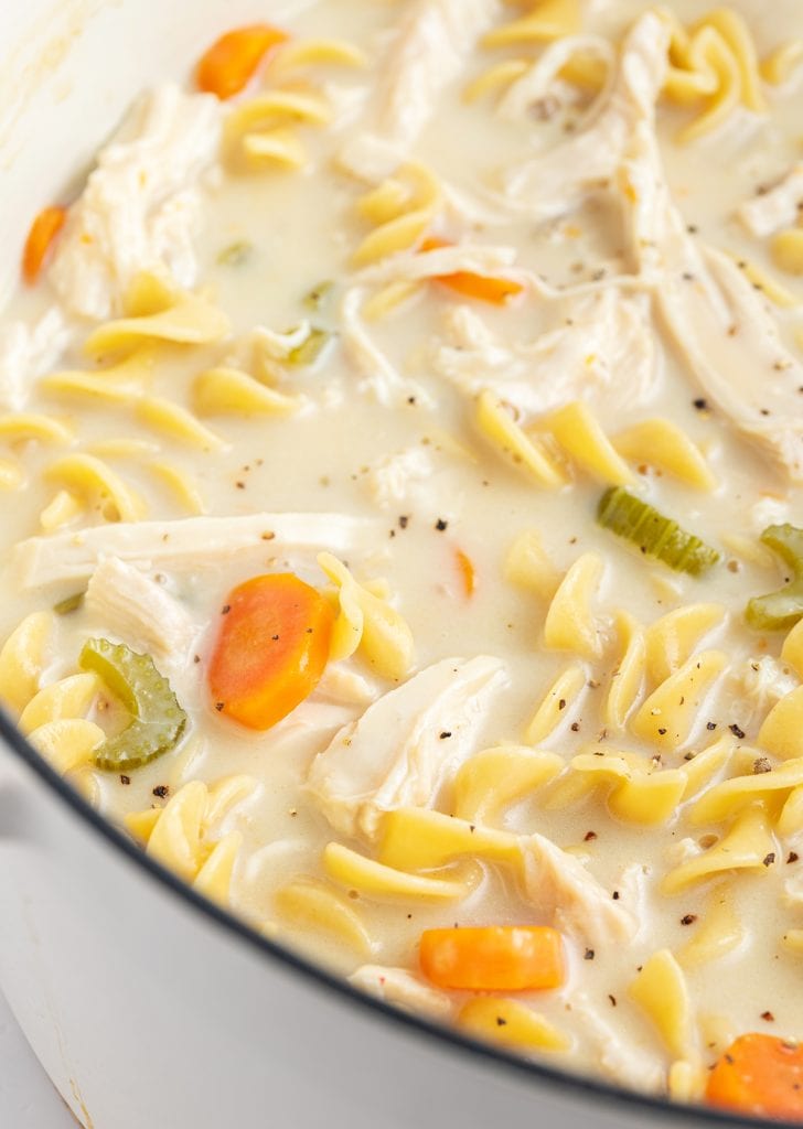 A close up of a pot of creamy chicken noodle soup with a creamy broth, egg noodles, carrots, and celery.