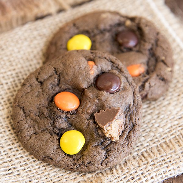 Angled image of two chocolate peanut butter cup cookies.