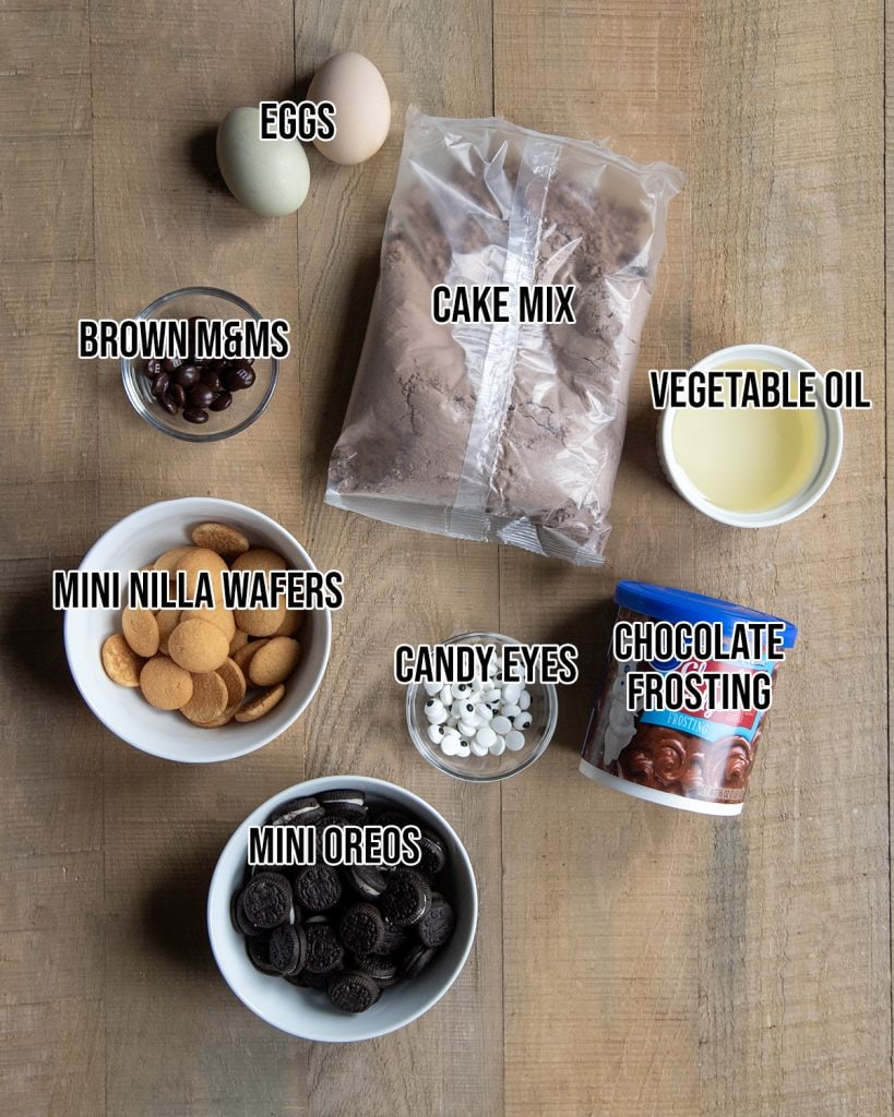 An overhead photo of the ingredients needed to make bear decorated cookies, that start with a cake mix and store bought frosting. 