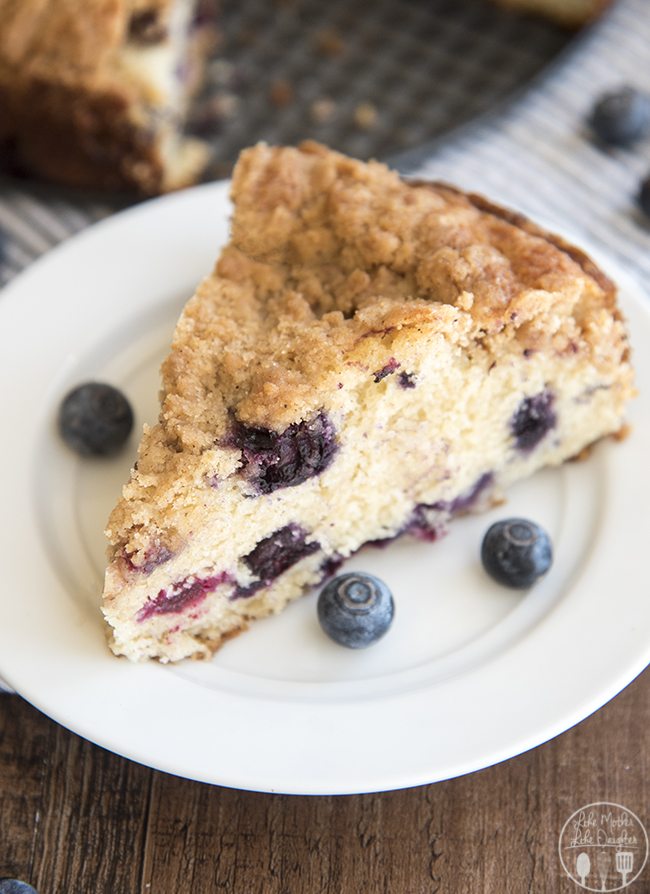 Blueberry Coffee Cake - Like Mother Like Daughter