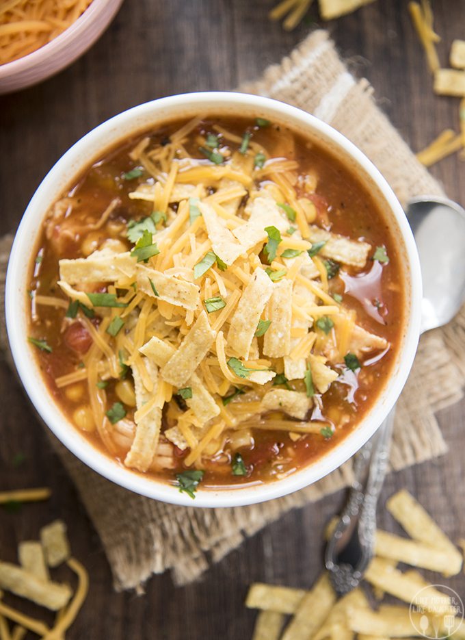 Slow Cooker Chicken Enchilada Soup Like Mother, Like Daughter