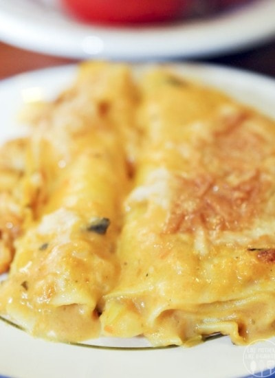 A plate with pumpkin pasta roll ups with cheese on top.