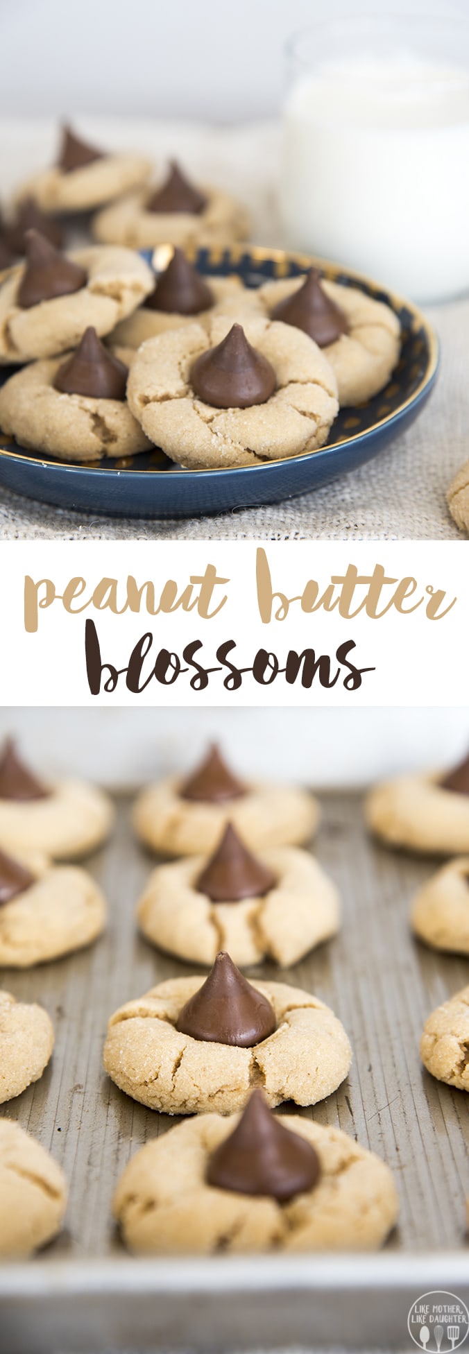 A collage of two photos of peanut butter blossom cookies with a text block in the middle of them.