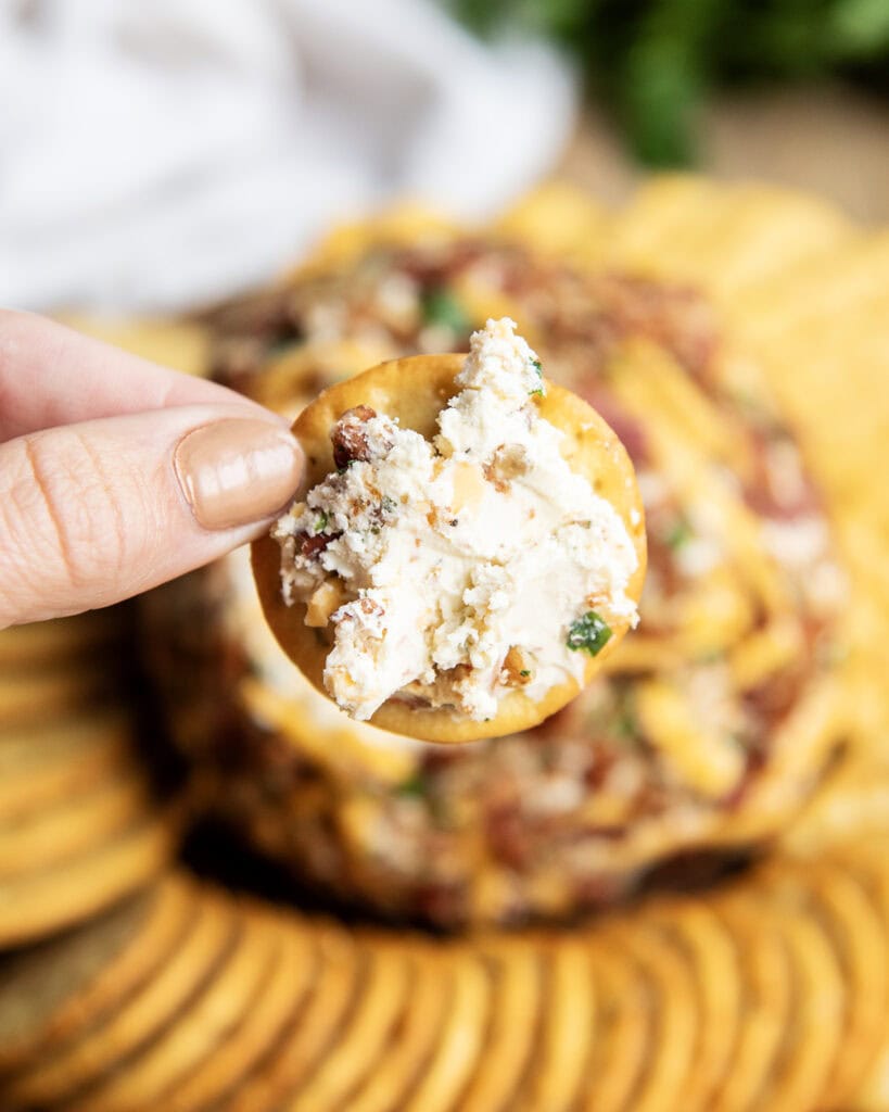 A hand holding a cracker with cheese ball mixture spread on it.