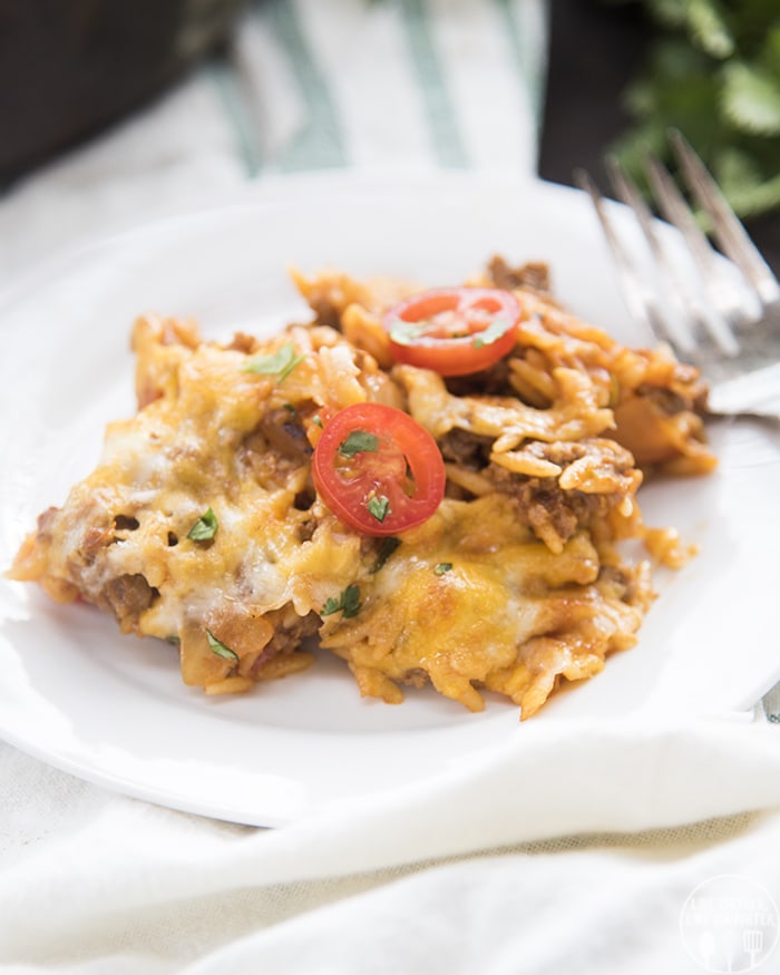 A serving of taco pasta on a plate topped with cheese, tomatoes, and cilantro.