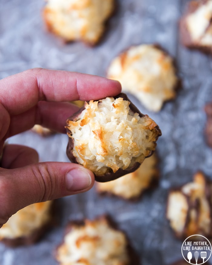 A hand holding a chocolate dipped coconut macaroon.
