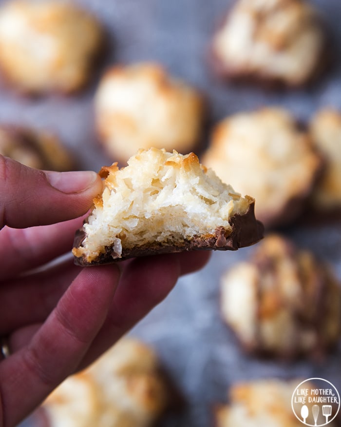 A hand holding a coconut macaroon with a bite out of it. 